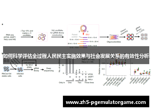 如何科学评估全过程人民民主实施效果与社会发展关系的有效性分析