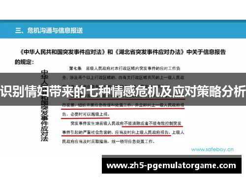 识别情妇带来的七种情感危机及应对策略分析