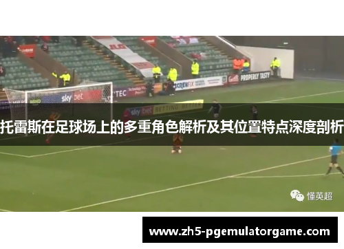 托雷斯在足球场上的多重角色解析及其位置特点深度剖析