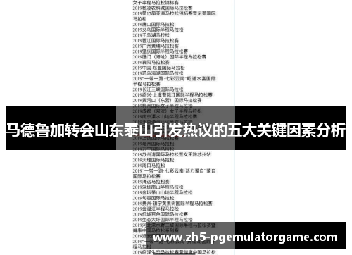 马德鲁加转会山东泰山引发热议的五大关键因素分析