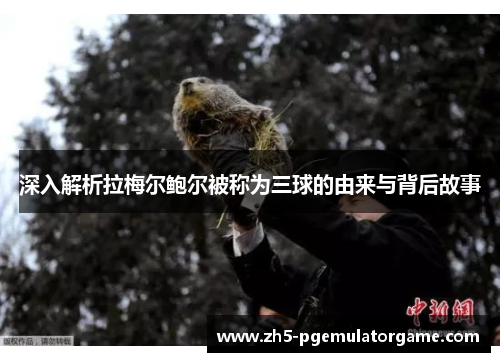 深入解析拉梅尔鲍尔被称为三球的由来与背后故事