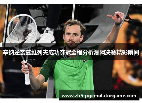 辛纳逆袭兹维列夫成功夺冠全程分析澳网决赛精彩瞬间 辛纳逆袭兹维列夫成功夺冠全程分析澳网决赛精彩瞬间