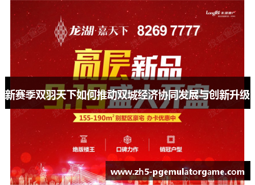 新赛季双羽天下如何推动双城经济协同发展与创新升级