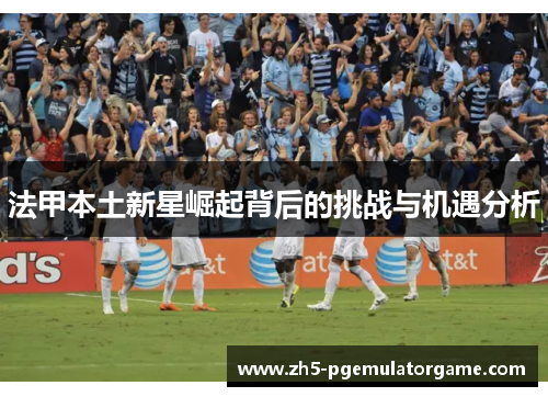 法甲本土新星崛起背后的挑战与机遇分析
