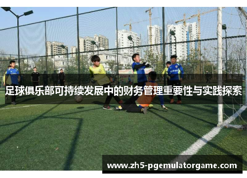 足球俱乐部可持续发展中的财务管理重要性与实践探索